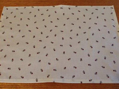 provencal coated placemats